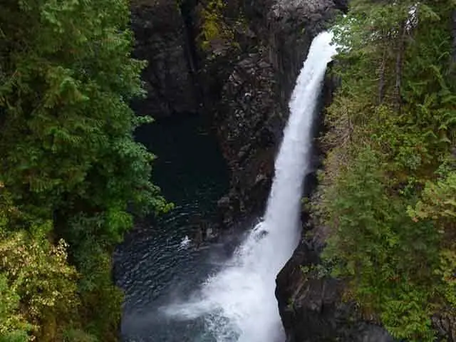 A waterfall falling through dense green forest