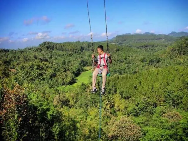 A zipline rider crossing high above a forest canopy alone