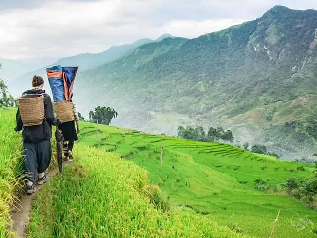 6 Days Hanoi + Halong Bay + Sapa