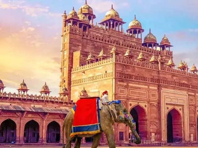 7 Days Discover India's Golden Triangle: A Perfect Blend