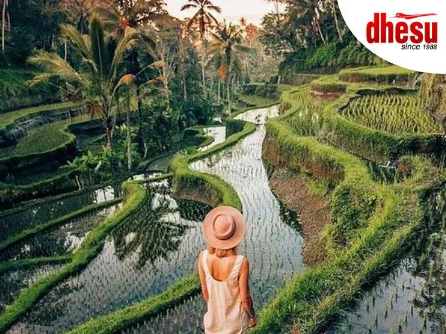 Terraced green rice paddies at Tegalalang in Ubud, Bali, Indonesia