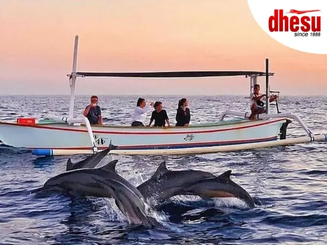 4 Days Bali Sunrise Dolphin Watching Experience