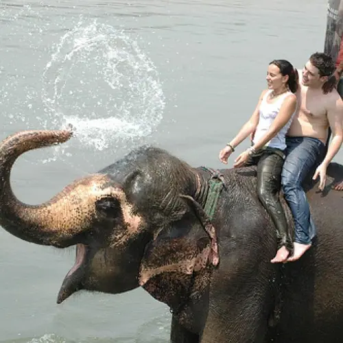 Chitwan