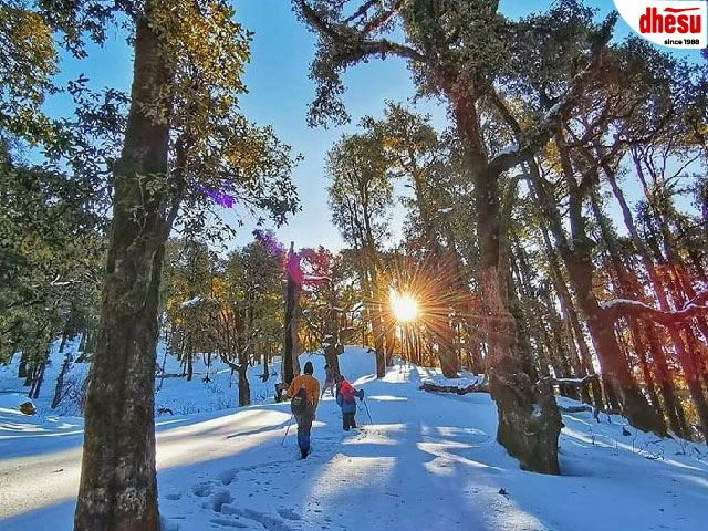 Shimla and toy train