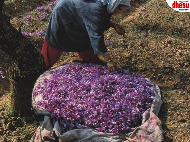 Kashmiri handicrafts and Delhi shopping
