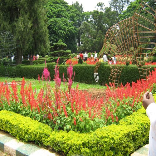 Mysore Palace and Nilgiri hills